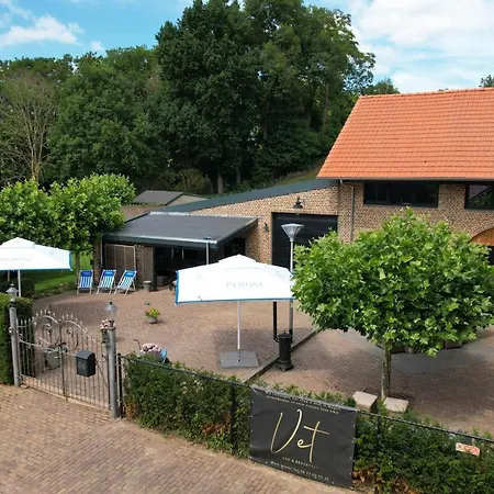 Vet - Bed & Breakfast-2